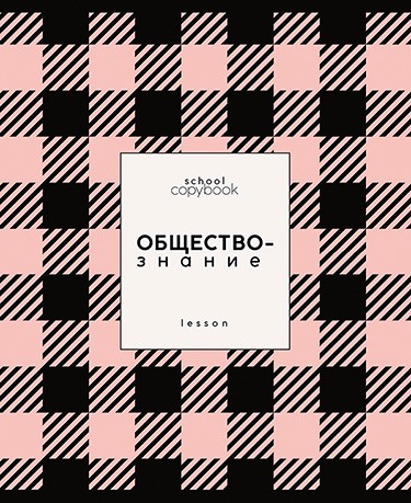 Тетрадь 48л. кл., спр. мат., обл. мел., выб. УФ "Яркая клетка. Обществознание", КТС-Про (80) С9922-12