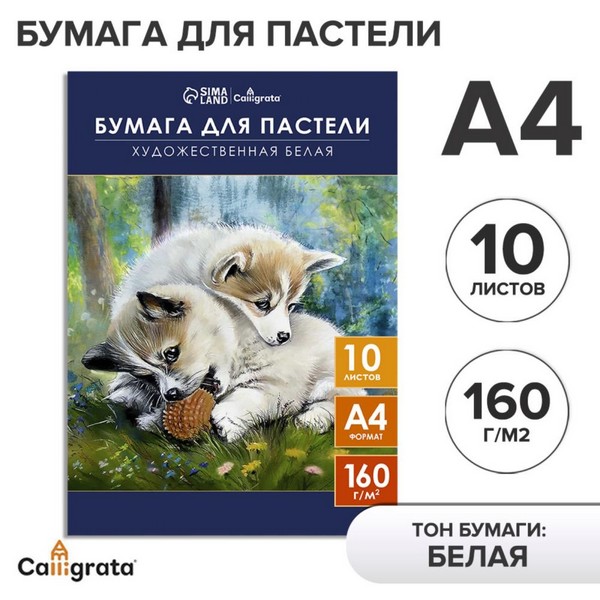 Бумага для пастели в папке А4 10л 160г/м2, белые листы 9699622 9699622    