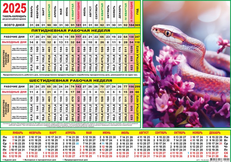 Календарь-табель 2025 г. "Символ года",  ЛиС ТК-25-002