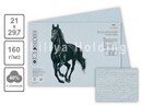 Бумага для пастели ф210*297, 160г/м2, "Palazzo.Bluemarine" (голубой), Госзнак БРBm/А4
