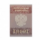 Обложка для паспорта,  с матовым рисунком, ДПС 2203.180.М