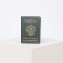 Обложка д/пенсионного удостоверения, 10,8*0,5*15, герб, тиснение, Xeleste, зеленый 2806051 2806051    