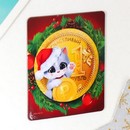 Магнит винил "Кот. Монета" 6х7 см 9101369 9101369    