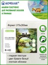 Альбом для творчества, ф.375х260мм 8К, 160г, 30л, для цветных карандашей, ACMELIAE 44025
