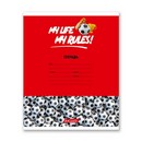 Тетрадь 24л. кл., обл. мелов., "Мячики" 000372, 65 г/кв.м , белизна 100 % , SVETOCH (30/60) 24ТСКд5_1_3_1