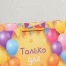 Пакет ламинированный «Только для тебя», MS 23 х 18 х 8 см   6582608 6582608    