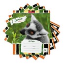 Тетрадь 18л. лин., обл. мелов., ErichKrause Lemur Style, (в плёнке по 10 шт.) 018010154-49190