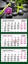 Календарь настенный квартальный 2025г. "Релакс" 3-х блочный на 3-х гребнях, зеленая подложка 13с14-279