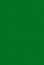 Блокнот на гребне фА5 60л. кл., "Зеленый" ART PLAST, КТС-Про С0193-41