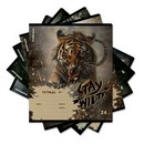 Тетрадь 24л. лин., обл. мелов., "Stay Wild", ErichKrause 024010154-63278
