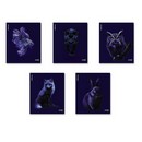 Тетрадь 48л. кл., обл. мелов., "Indigo" ламинация soft-touch+выборочный УФ-лак_MIX-PACK, ErichKrause (5/100) 64867