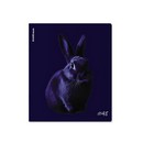 Тетрадь 48л. кл., обл. мелов., "Indigo" ламинация soft-touch+выборочный УФ-лак_MIX-PACK, ErichKrause (5/100) 64867