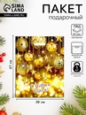 Пакет Вечеринка, полиэтиленовый с вырубной ручкой, 38х47 см, 60 мкм   3779411 3779411    