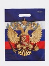 Пакет подарочный "Моя Россия" 30 х 40 см  50мкм 9953978 9953978    