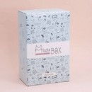 MilotaBox мини "Школьный Бокс" MBS019