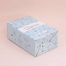 MilotaBox мини "Школьный Бокс" MBS019