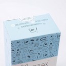 MilotaBox мини "Школьный Бокс" MBS019