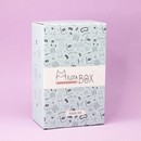 MilotaBox мини "Школьный Бокс" MBS019