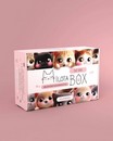 MilotaBox "Кот Бокс" MB094