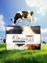 MilotaBox "Корова Бокс" MB134