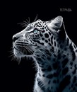 Тетрадь 48л. кл., обл. выбор. Уф-Лак  Дикая кошка, КТС-Про (10/80) С0231-18