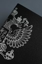 Дневник школьный "ГЕРБ ЧЁРНЫЙ" кожзам:  А5+; интегральный переплёт, материал обложки: искусственная кожа "Софт-тач глосс"; декор: тиснение фольгой; способ крепления блока: ниткошвейный, Феникс+ 72548