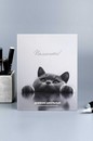Дневник школьный "БРИТАНСКИЙ КОТ" твёрдый переплёт 7БЦ, А5+, 48 л., выборочный  УФ-лак, матовая ламинация, печать в одну краску, универсальная шпаргалка, Феникс+ 72733