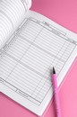 Дневник школьный "БАЛЕРИНА В КЕДАХ" интегральный переплёт, А5+, 48 л., глянцевая ламинация, печать в одну краску, универсальная шпаргалка, Феникс+ 72762