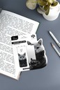Набор закладок магнитных для книг "МОНОХРОМНЫЕ КОТЫ" 2 шт. в наборе, размер 30x80 мм, материал: мелованная бумага, ферроагломерированный полимер; декор: полноцветный дизайн, Феникс+ 73703