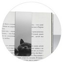 Набор закладок магнитных для книг "МОНОХРОМНЫЕ КОТЫ" 2 шт. в наборе, размер 30x80 мм, материал: мелованная бумага, ферроагломерированный полимер; декор: полноцветный дизайн, Феникс+ 73703
