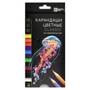 Карандаши 12цв."КЛАССИК" , Феникс+ 64096