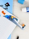 Стикеры-закладки пластиковые, 25х120 мм, 50 шт., "ГУСИ" материал: пластик кол-во цветов: 2, кол-во каждого цвета: 25, форма: фигурная, декор: полноцветная печать; наличие диспенсера, Феникс+ 65194