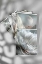 Тетрадь 48л. кл., обл. мелов., матовая ламинация "БЕЗМЯТЕЖНОСТЬ", Феникс+ 74226